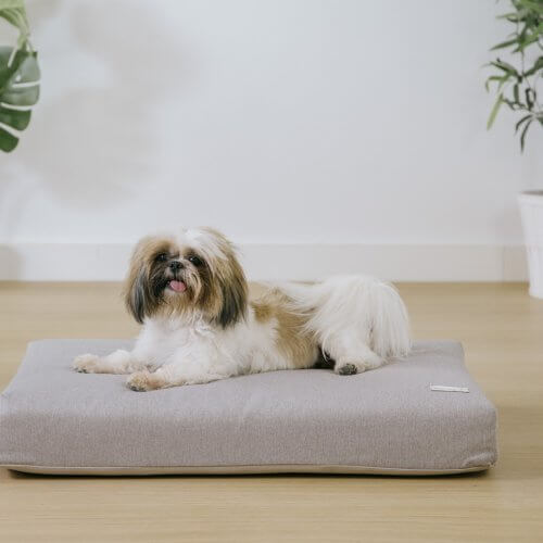 Colchón para perros 80 x 60 cm